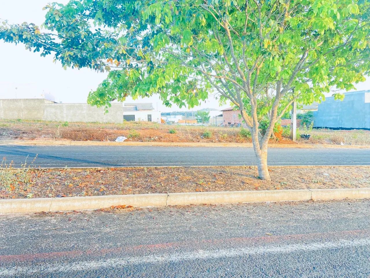 Vendo 4 lotes de 250m2 na avenida Espanha  - Foto 4