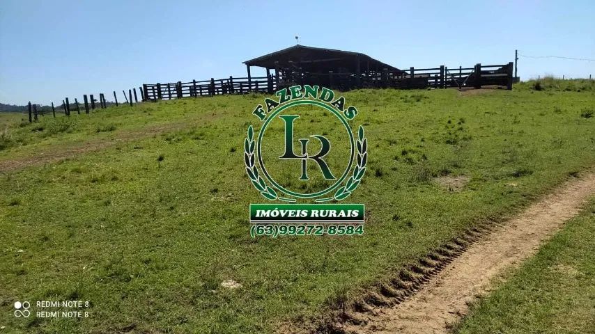 Fazenda 662 alqueires estado Pará - Foto 2