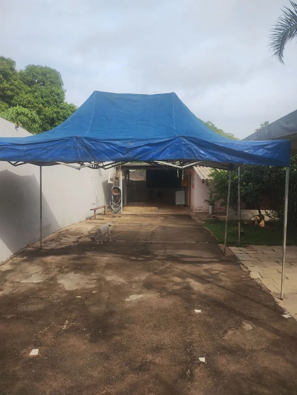 Tenda sanfonada 3X4.5