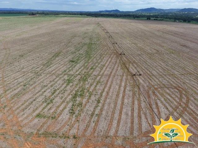 Fazenda com pivô de 80 hectares - Foto 3