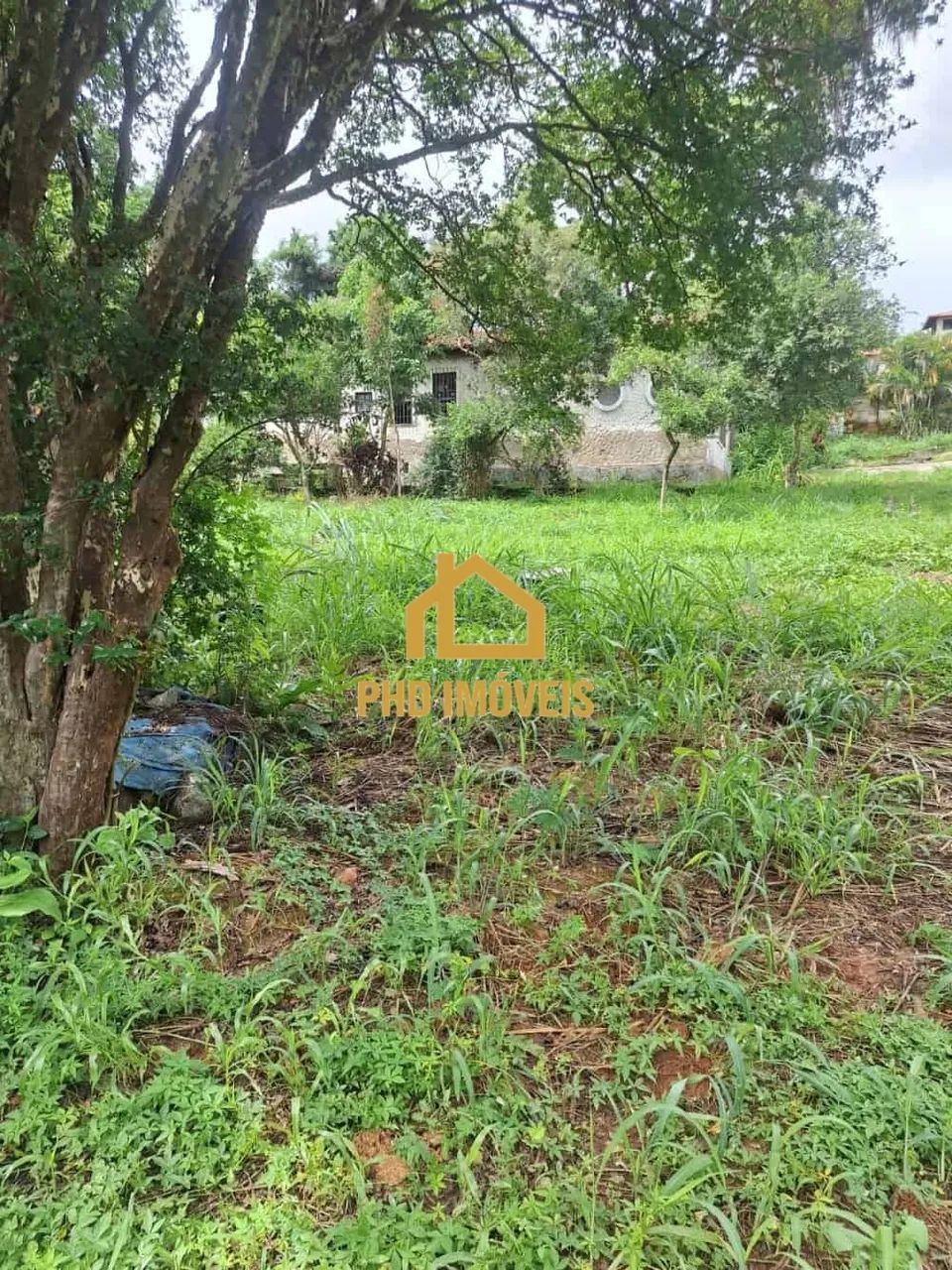 Lote para comprar Braúnas Belo Horizonte - Foto 4