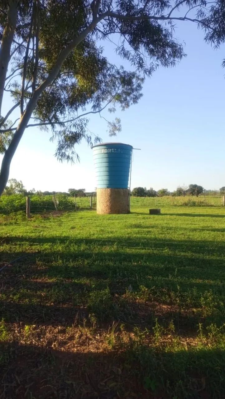 Vendo Sítio em Lucélia SP apenas 2km da cidade - Foto 4