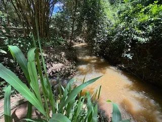 Chácara com 2 corregos e com casa de 3 qts de 2.300m2 em  70km de goiânia - Foto 3