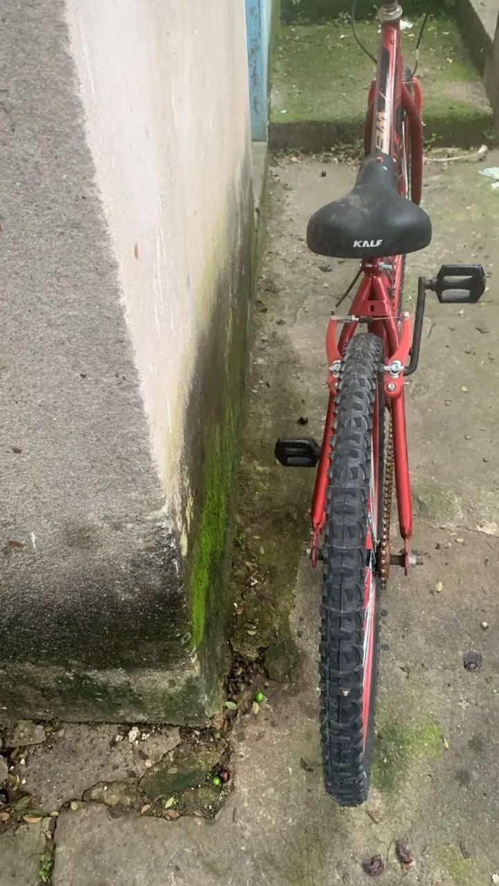 Bicicleta 