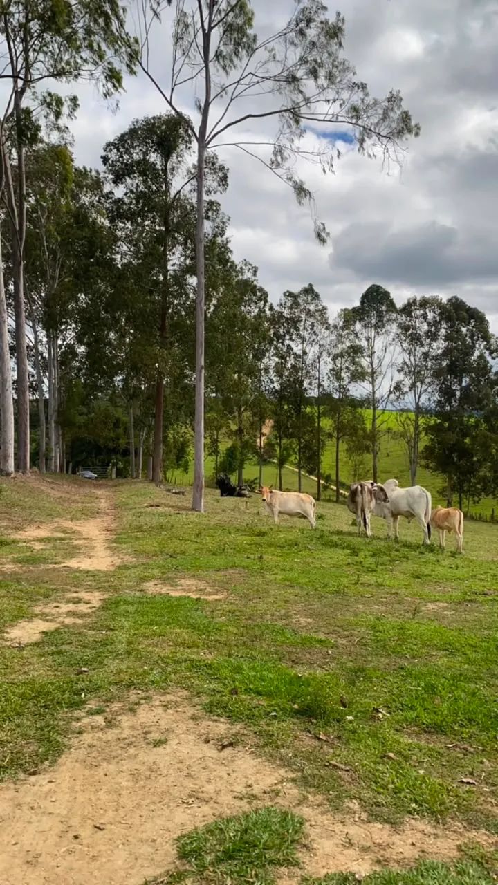 Venda de tarefas  - Foto 3