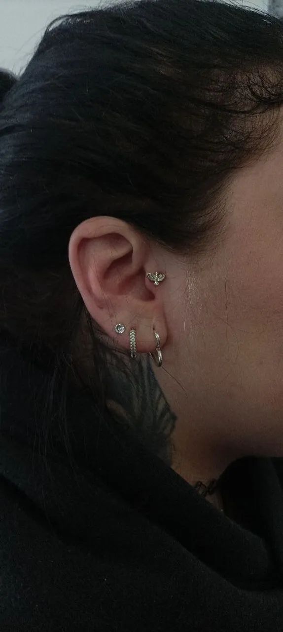 Piercings profissionais com valor reduzido 