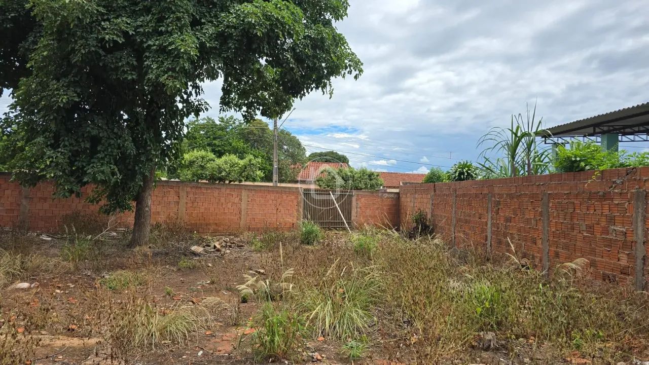 TERRENO JD IMA - Foto 2