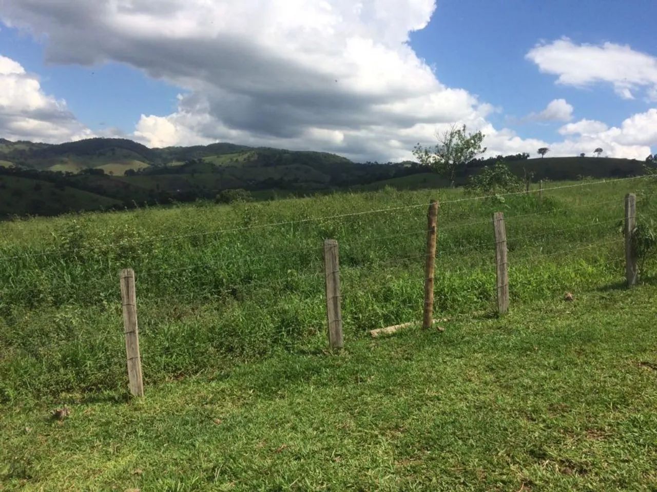 Fazenda - Município Cambuí-MG - Foto 4