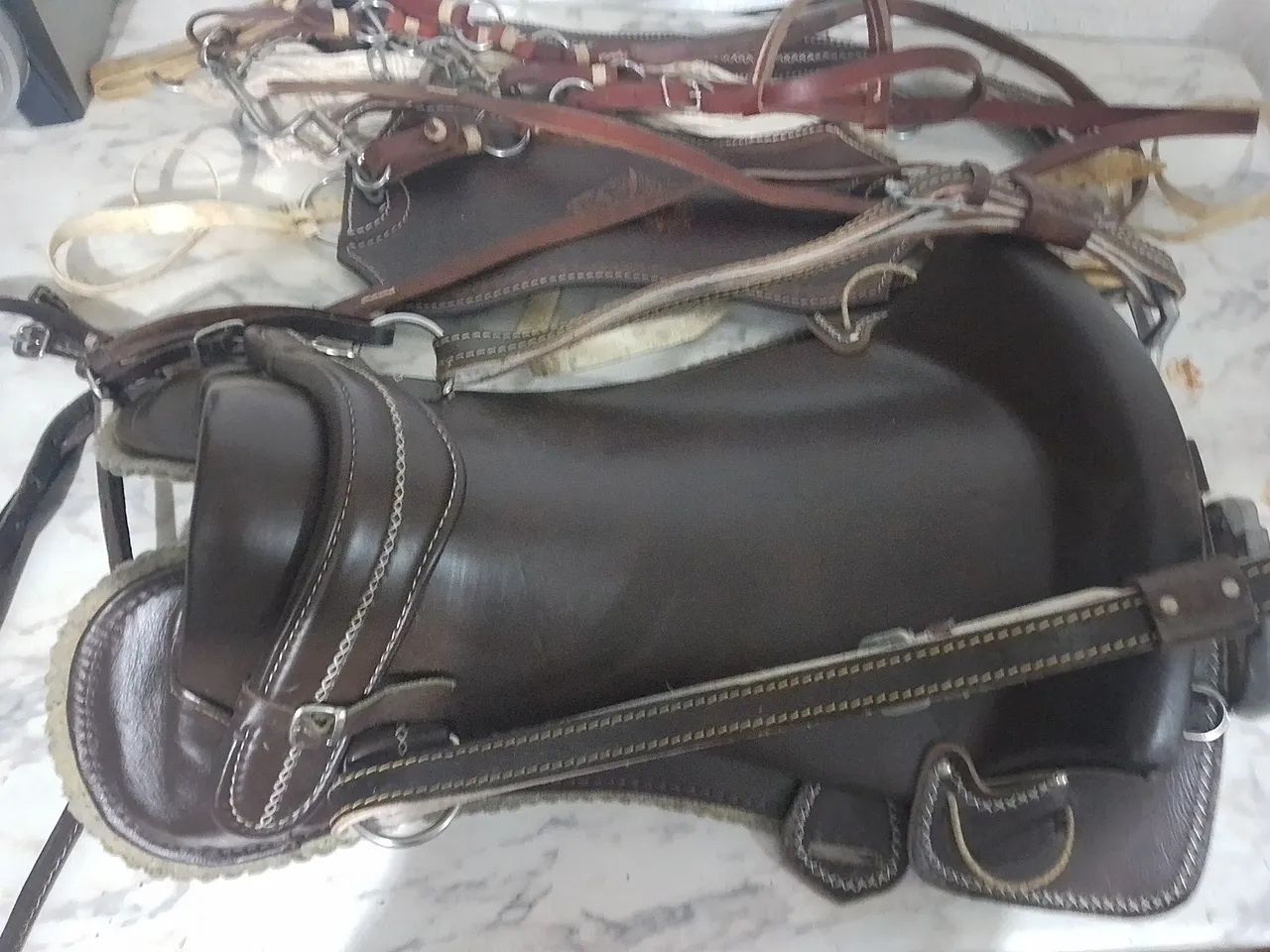 Encilha( cela freio de ouro ) de cavalo 