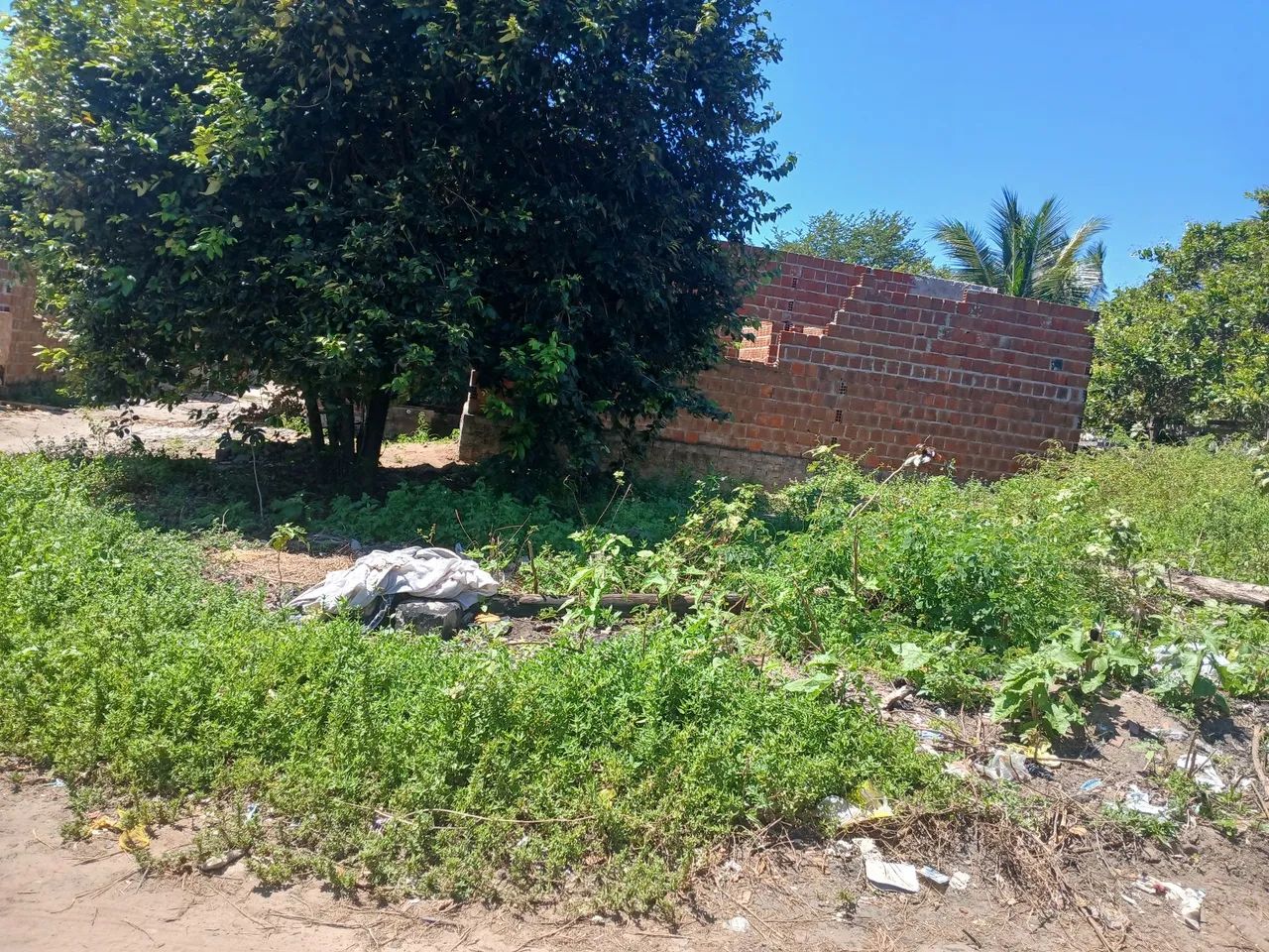 Terreno 8×19 - Foto 2