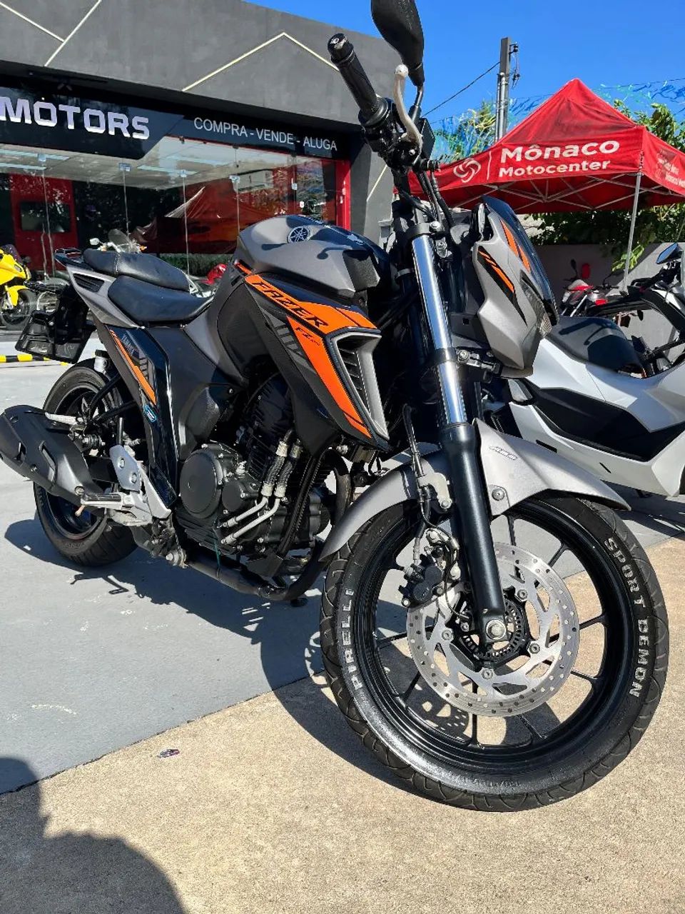 FZ 25 - 2025