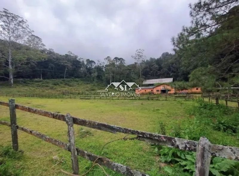 Terreno- Petrópolis, Mosela - Foto 3