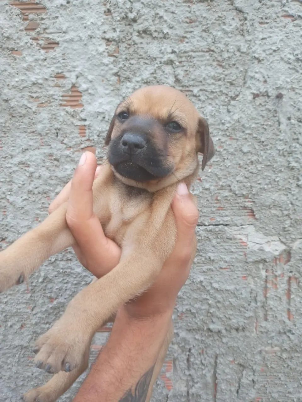 DOAÇÃO - Foto 4