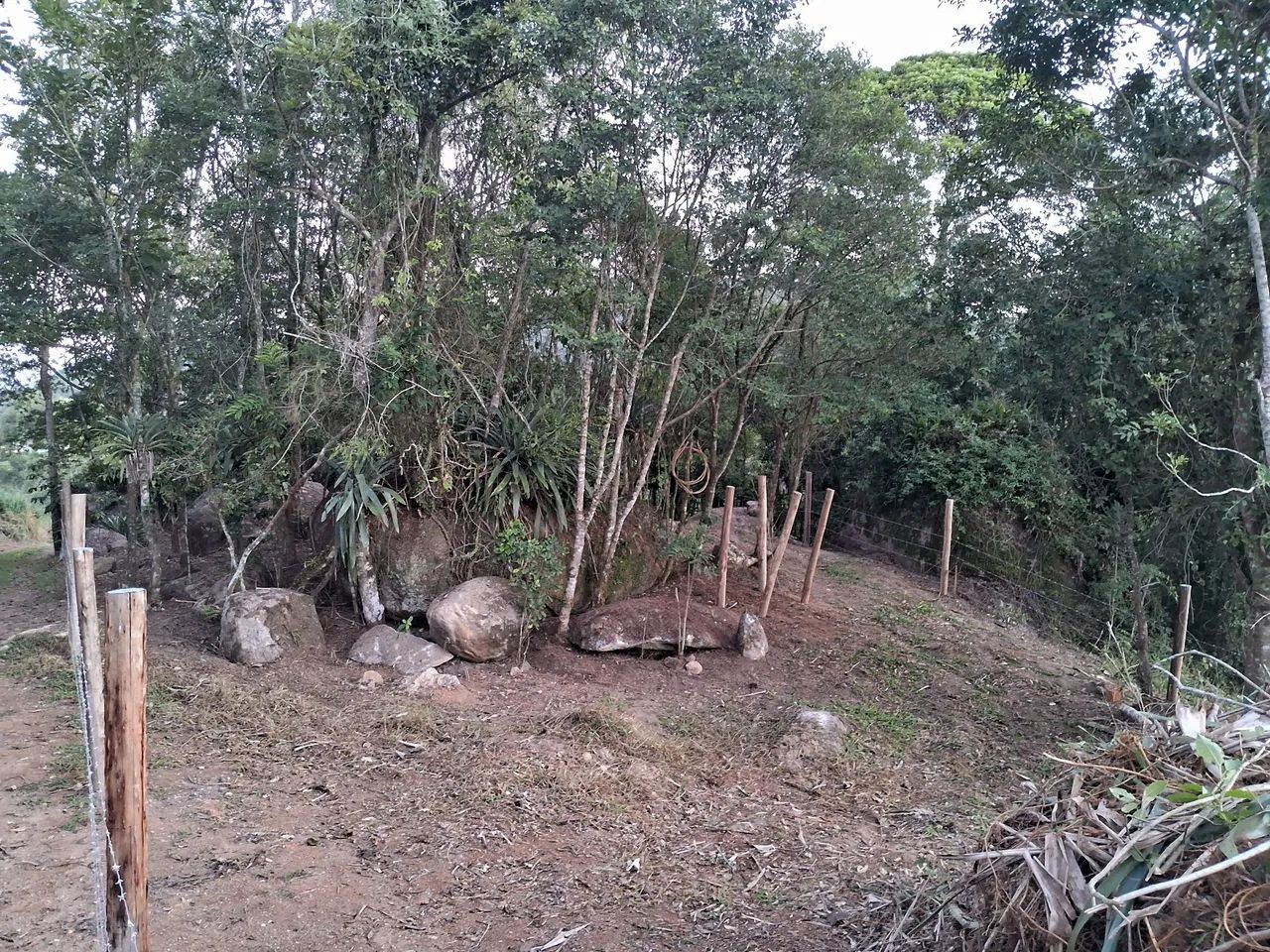 Vendo chácara em Paulo Lopes  - Foto 5
