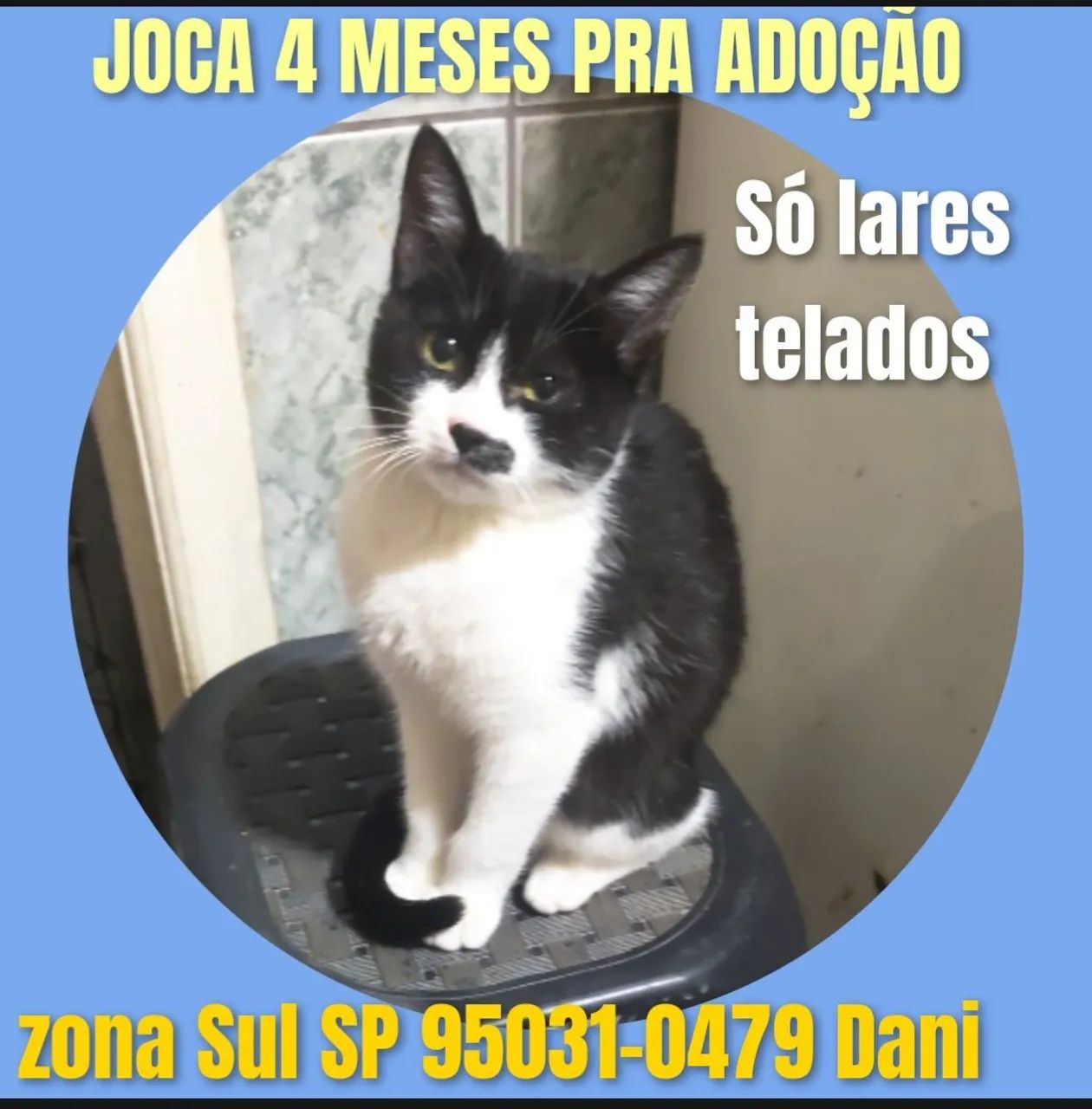 Bebê adoção  - Foto 2