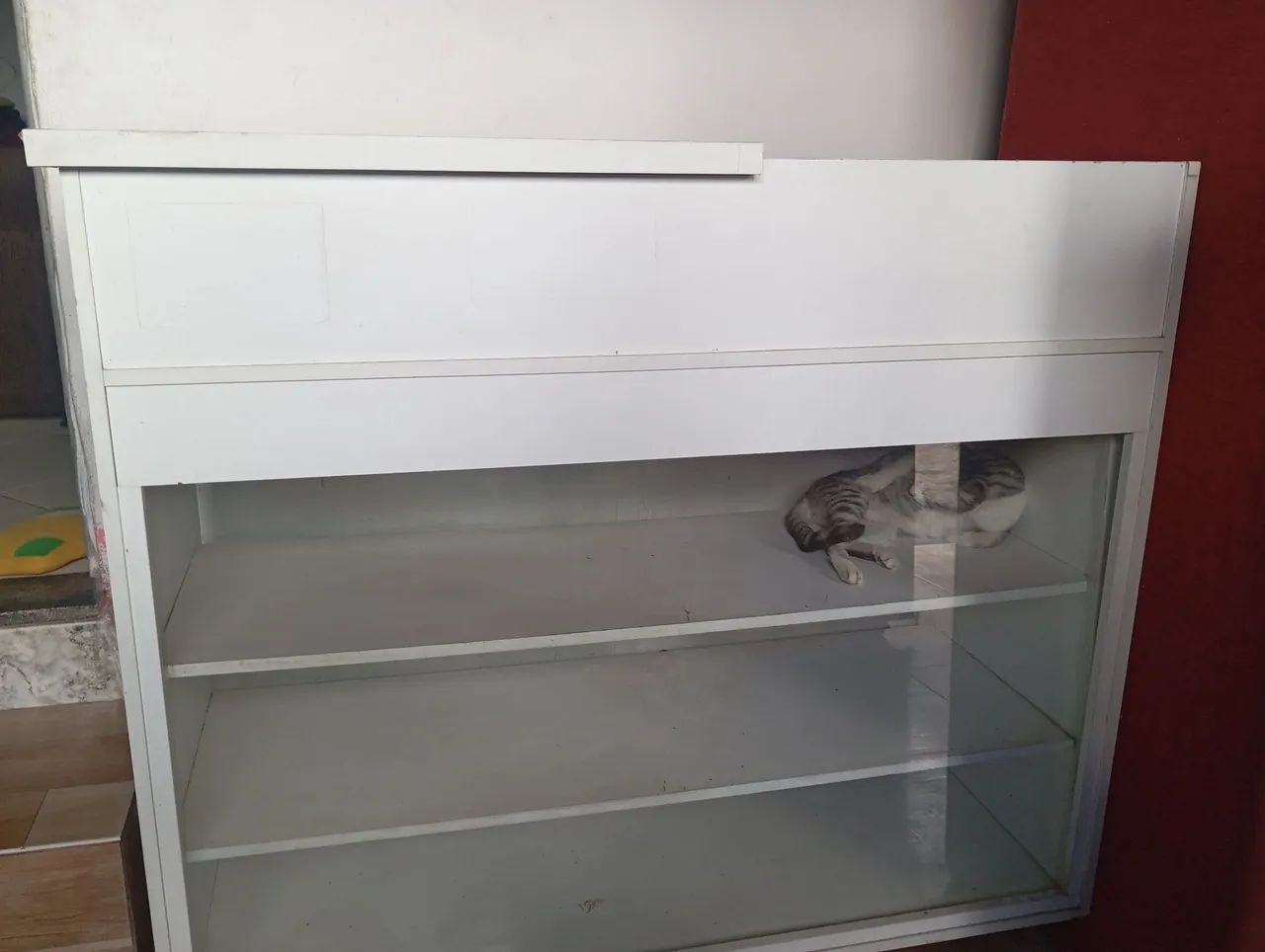 Vendo uma vitrine balcão 