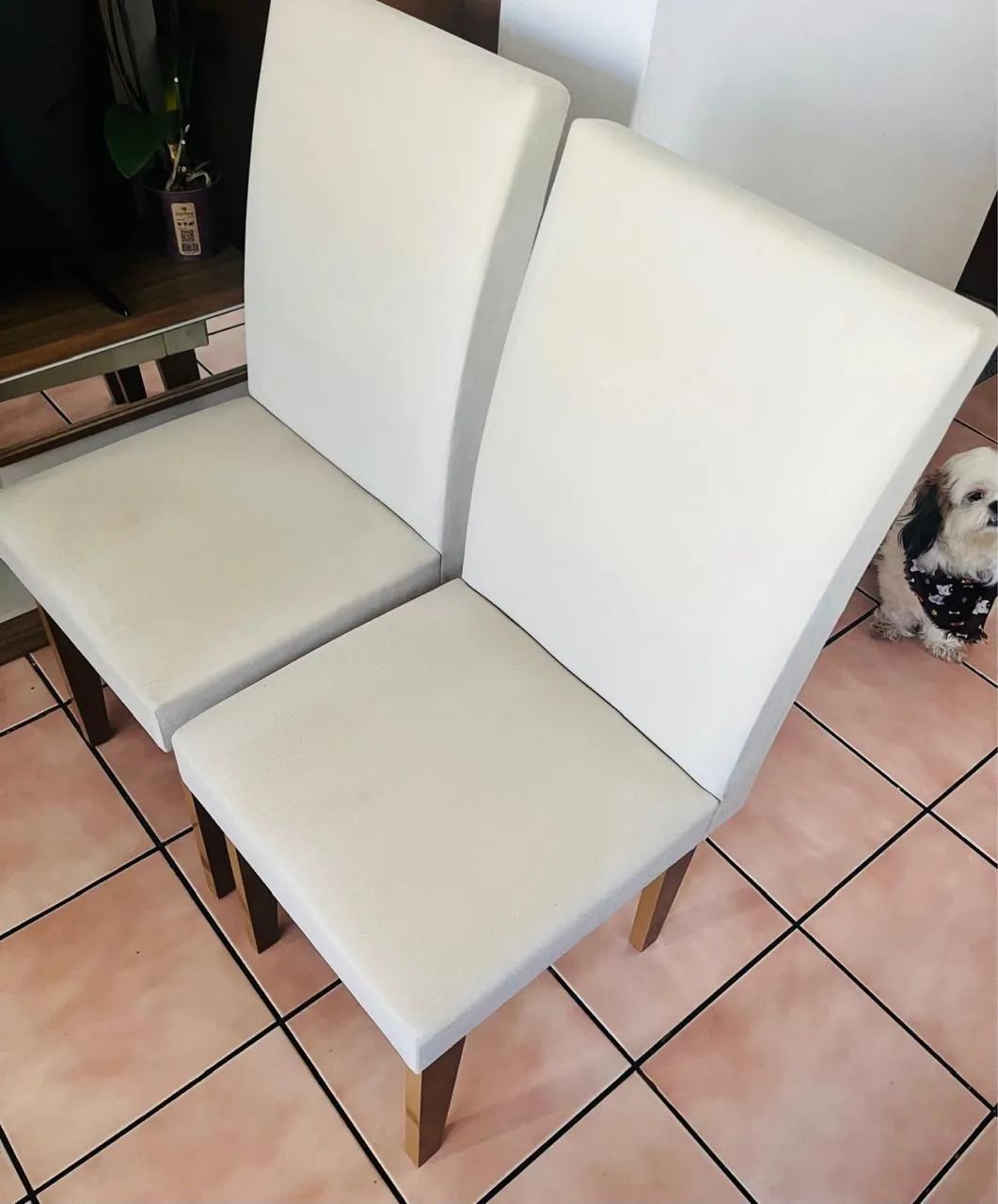4 Cadeiras por 400 - Foto 4