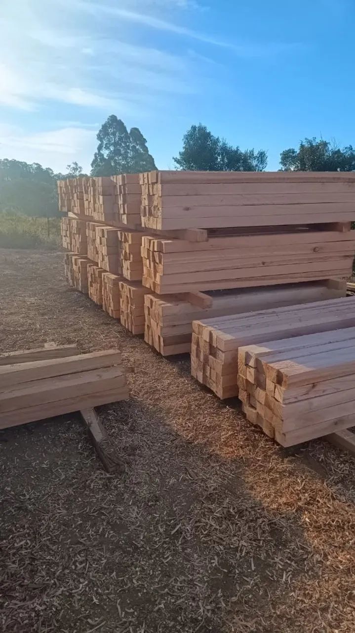 Madeiras de eucalipto