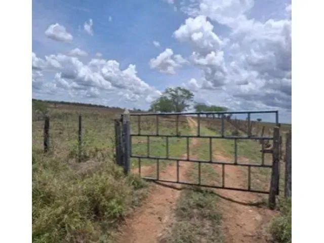 Sítio c/ 80ha em Girau do Ponciano/AL - Foto 2