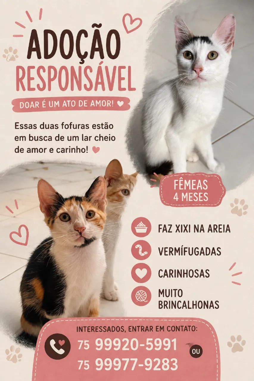 DOAÇÃO DE GATOS