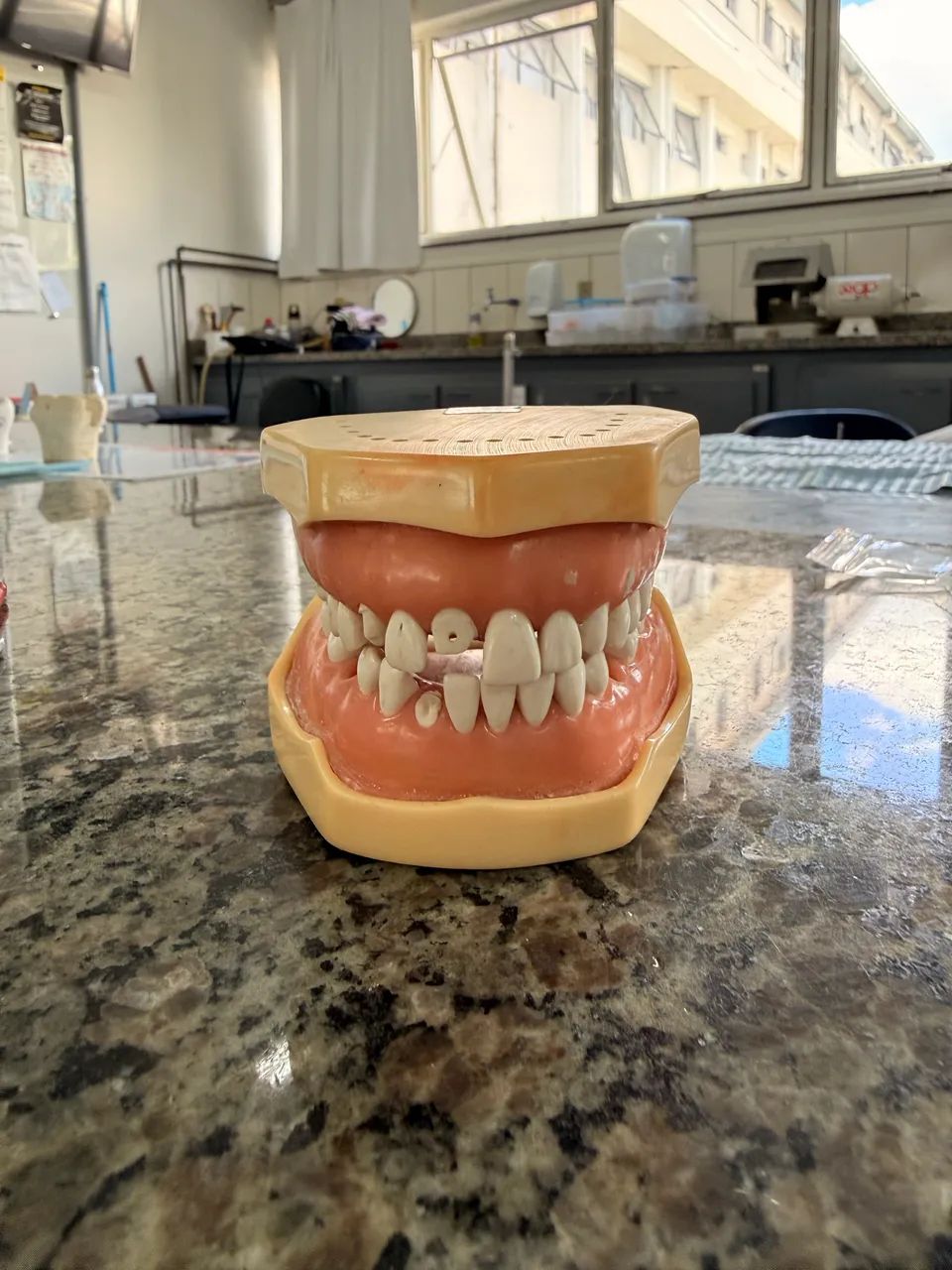 Manequim MOM dentistica