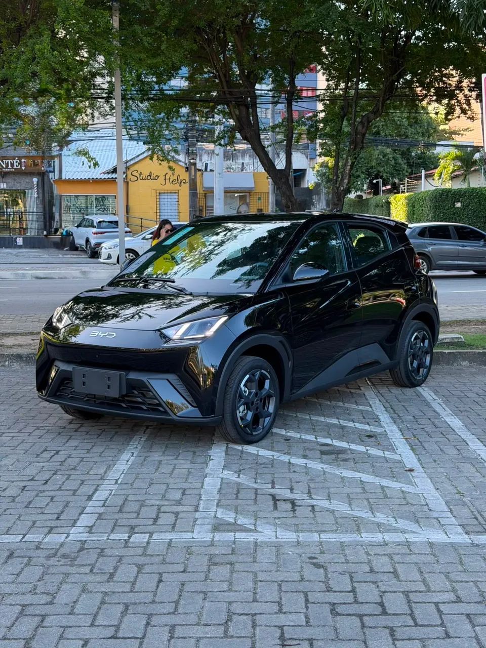 BYD Dolphin Mini (Elétrico) 2027