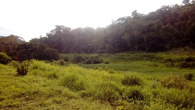 Fazenda Itajuípe - Foto 4