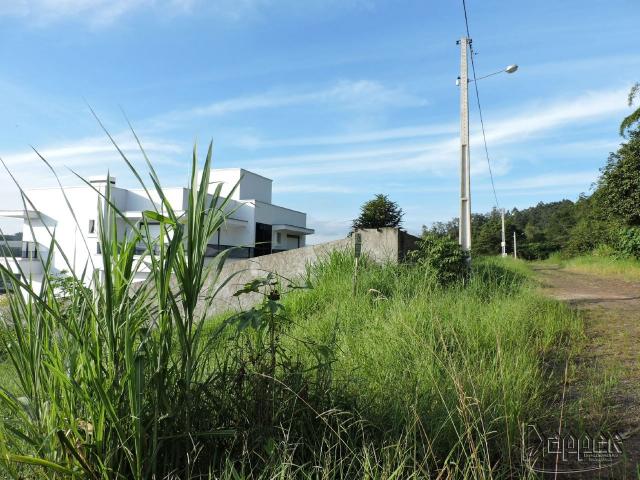 Terreno à venda em União, Estância velha cod:16980 - Foto 3