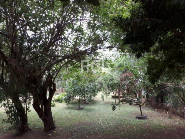 Casa à venda com 5 dormitórios em Ilha das flores, Porto alegre cod:MF20303 - Foto 12