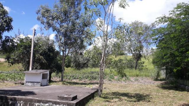 Área na BR em Gravatá/PE, com 05 hectares - REF. 131 - Foto 3
