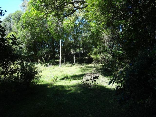 Área de 20000m² própria para chácara com privacidade - Foto 2