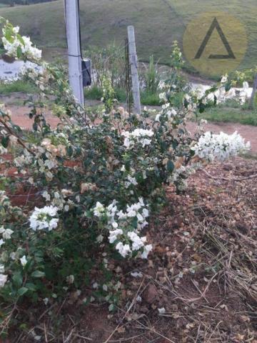 Terreno à venda, 870 m² por r$ 150.000 - quilombo - cantagalo/rj - Foto 12