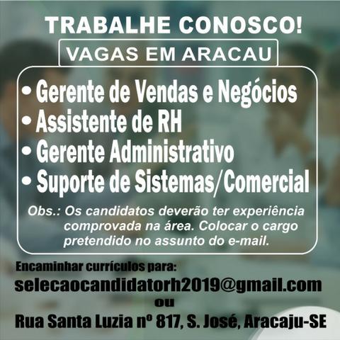 Gerente de Vendas/Negócios, Assistente de RH, Gerente Adm, Suporte de Sistemas/Comercial