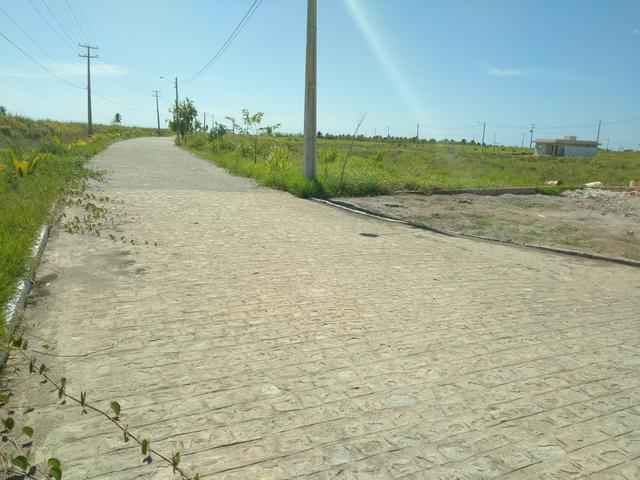 Terrenos em Ponta de Pedras 100% legalizados - Foto 17