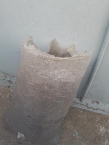 Estrume de palmeira - Foto 2