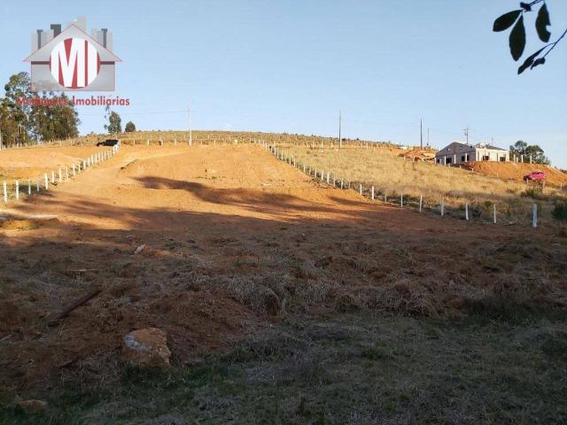 Lindo terreno com escritura, poço semi-artesiano e energia elétrica em Pedra Bela - Foto 4
