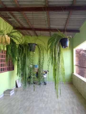 Vendo ou Troco Por Chácara Uma Casa no Arapoanga com Uma Loja , Terreno 675Metros - Foto 9