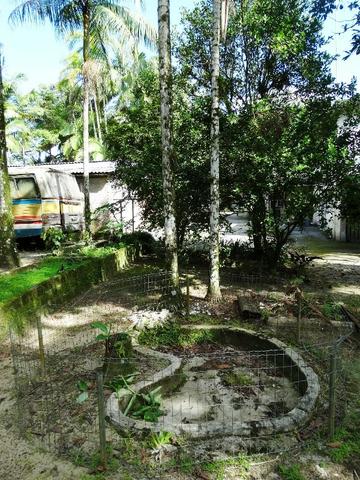 Chacara de 7.000m² Colonia Pereira - Matinhos - Foto 15