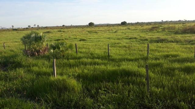 Fazenda de pecuária - Foto 11