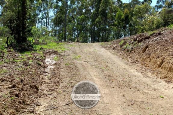 Seu sitio em Bom Retiro na Serra Catarinense - Foto 17