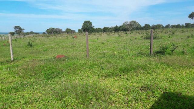 Fazenda de pecuária - Foto 14