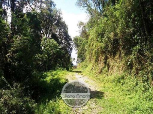 Urubici terrenos - Foto 12