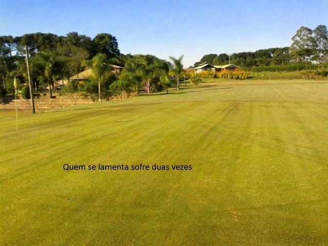 Casa com terreno de 10000 m - chácara prox. Toaldo Tulio - Foto 5