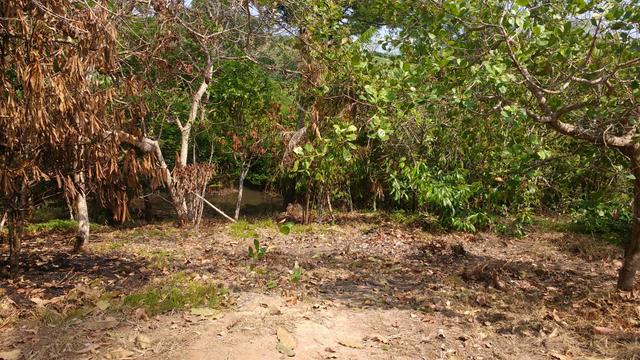 Troca-se dois terrenos no iranduba!!!!! - Foto 4