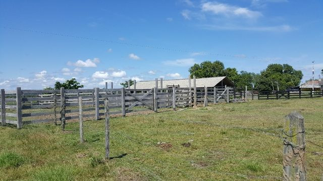 Fazenda de 1500 hectares em Alto Alegre/RR, ler descrição do anuncio - Foto 12