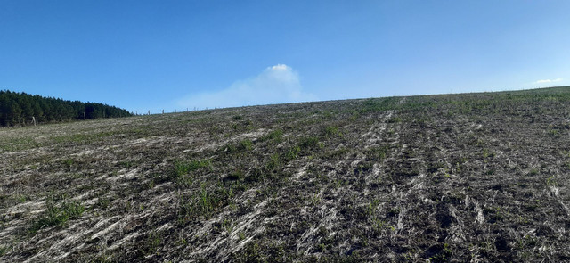 Sitio anexo ao aeroporto com 76.000 metros. Plantio ..soja ..água em abundância. - Foto 2