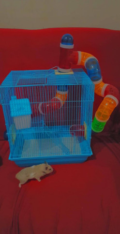 Vende-se gaiolas para hamster - Foto 6