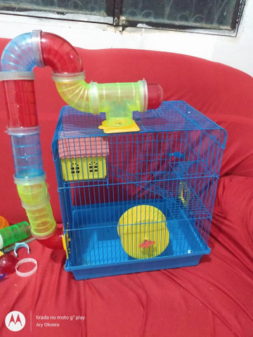 Vende-se gaiolas para hamster - Foto 2