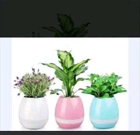 Vaso de plantas Bluetooth - Foto 3