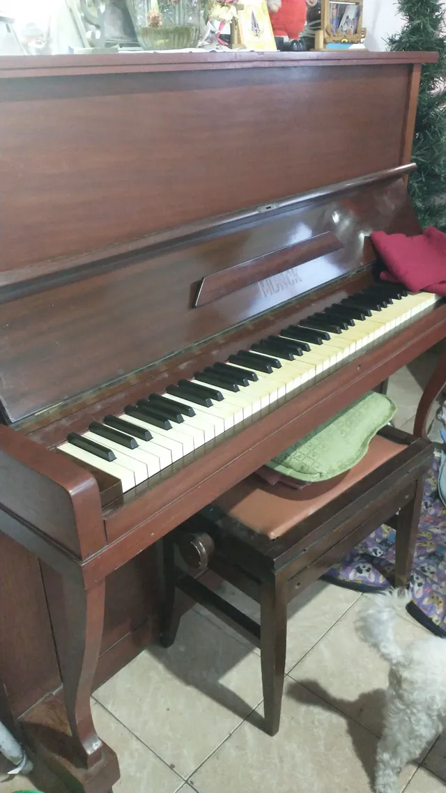 Piano Infantil em Madeira da Hering. Emite Som, porém n